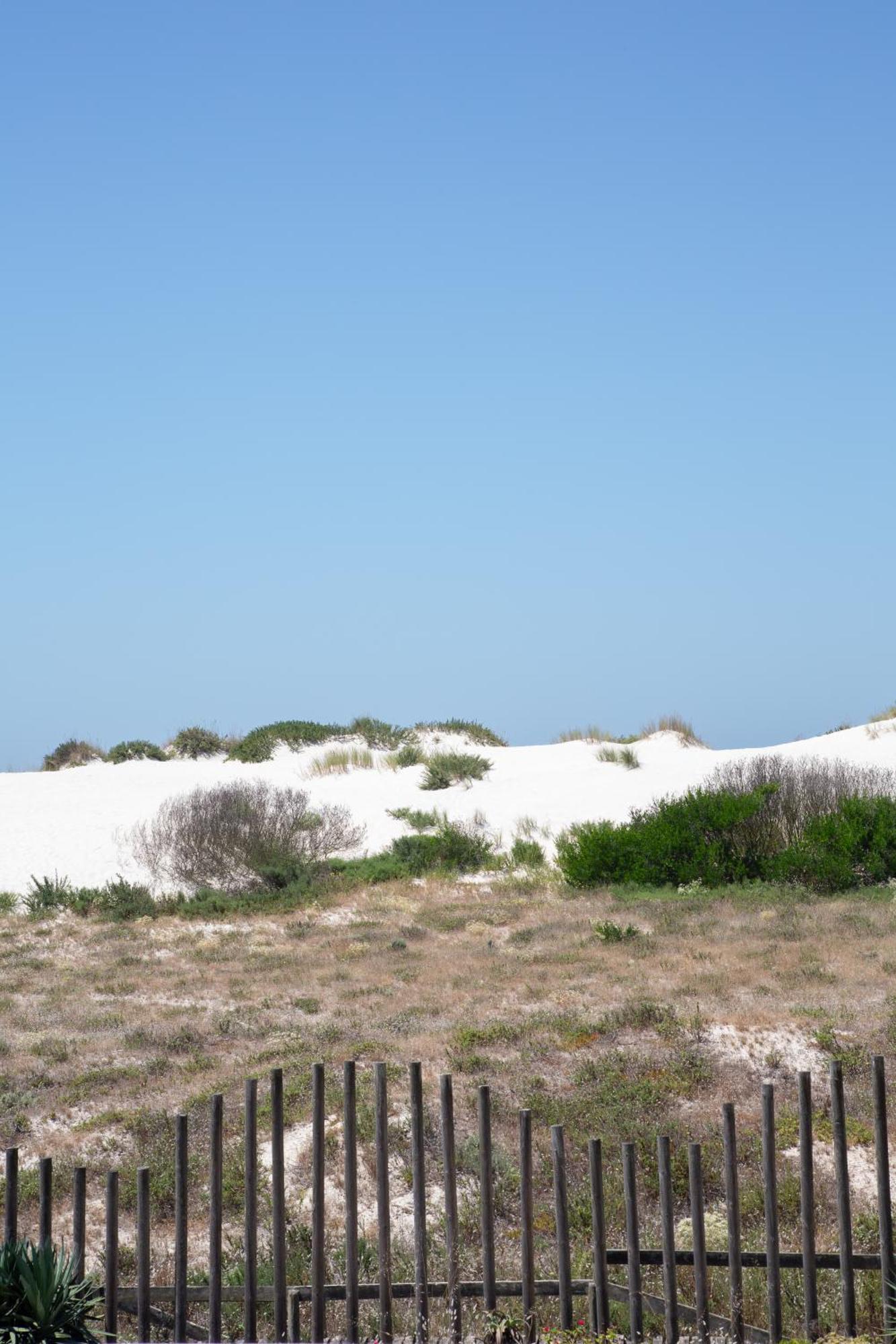 Barra Beach House - Praia Da Barra Eksteriør bilde